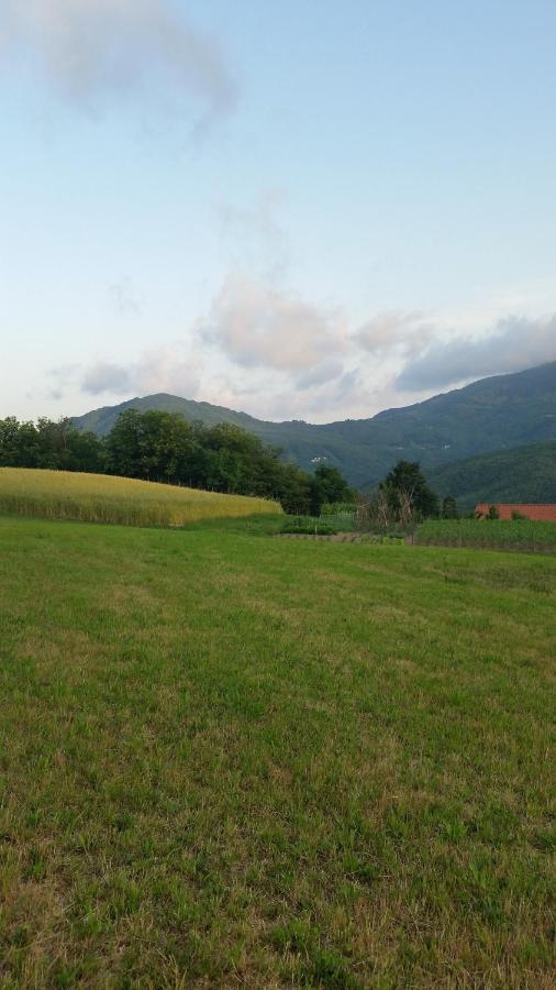 028 - Agriturismo "Il Boschetto" Con Piscina, Pace E Natura - Camera Familiare Cavizzano Exterior foto